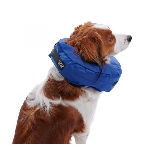 image_thumbnail