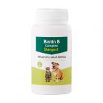 Stangest Complexo Biotina B 100 Comprimidos