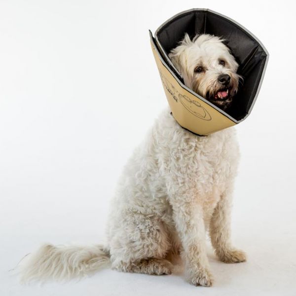 image_thumbnail