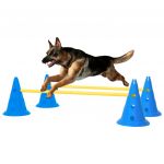 Conjunto de Obstáculos para Atividades Caninas Azul e Amarelo - 150952