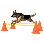 Conjunto de Obstáculos para Atividades Caninas Laranja/amarelo - 150951