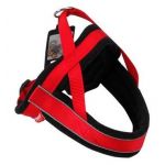 Pawise Comfort Reflective Dog Harness L