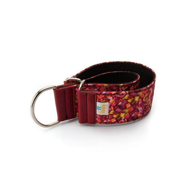 https://s1.kuantokusta.pt/img_upload/produtos_animaisestimacao/663091_3_pamppy-coleira-de-galgo-speedy-sweets-30-cm-30-35.jpg