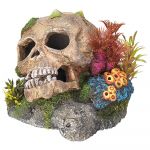 Vadigran Caveira com Corais Decorativa para Aquário