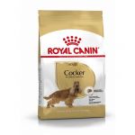 Royal Canin Cocker Adult 3x 12Kg