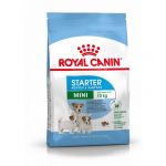 Royal Canin Mini Starter Mother & Babydog 3x 8Kg