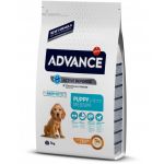 Advance Puppy Medium Protect Chicken & Rice 3x 12Kg