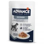 Ração Húmida Advance Vet Diets Dog/cat Recovery 100g
