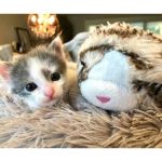 Snuggle Puppy Gato de Peluche com Batimento Cardíaco Grey e Branco - 444452