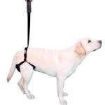 OrtoPrime Arnês para Cães com Suporte nas Patas Traseiras Tamanho Único