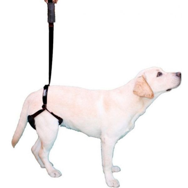 image_thumbnail