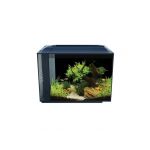 Fluval Spec 60l Aquarium Transparente