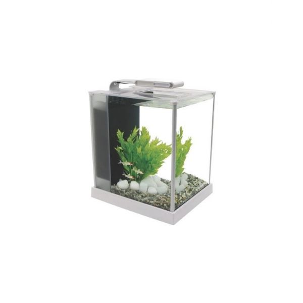 Fluval Spec 10l Aquarium Transparente | KuantoKusta