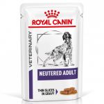 Ração Húmida Royal Canin Neutered Adult 100g
