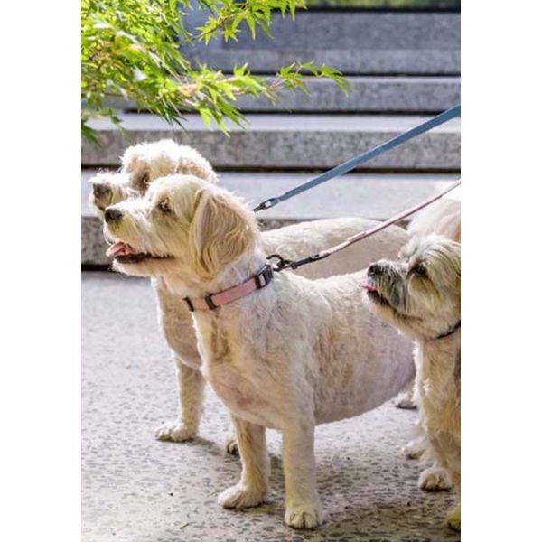 image_thumbnail