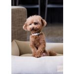 Fuzzyard Coleira Life Cotton Sandstone L