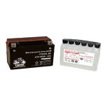 INTACT Bateria de moto YTX15L-BS | AGM Hermética CTX15L-BS