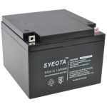 Syeota Bateria de Líderes Selados SY24-12 12V/24Ah Recarregável 175x124x165mm