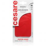 Mr & Mrs Fragrance Cesare Peppermint Cartão Perfumado