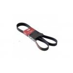 Contitech 5PK1355 - Correia trapezoidal estriada - 4010858507411