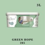 EDM Tinta Ally Brush Interior Green Hope 3 L - EDM25467