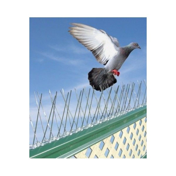 image_thumbnail