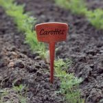 Nortene Pack 5 Etiquetas de Plantação 30% Fibra Eco 15 cm
