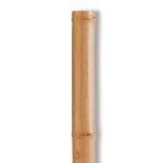 Nortene Poste de Bambu Deco 80/90mm 240cm