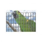Rede Eletrosoldada Galvanizada Rectangular 50x25x1,9 1,50MTx25MT Pré Galvanizada - HA502519150GA25