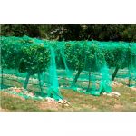 Pro Garden Rede Anti-pássaros 4X5MTS para Árvores Frutiferos - ELK06073