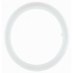 Osram Tubo Circular LED T9 20W 6500K - 82015110
