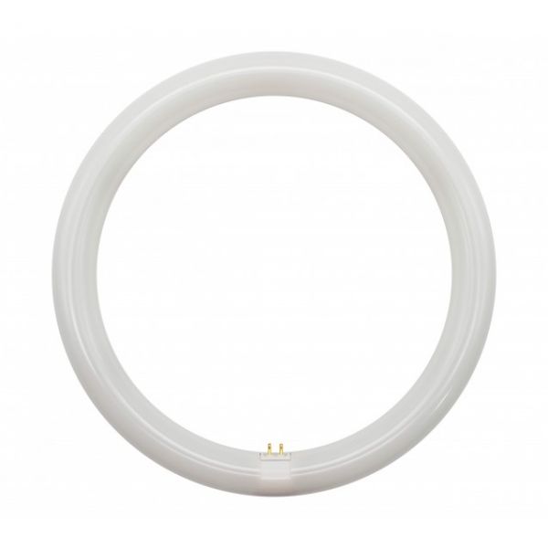 Foxled Tubo LED T9 Circular 20W 6000K 20662 FR Kuantokusta