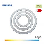 Philips Master Tl-e Circular 40W/865 1CT/12 - 84057500