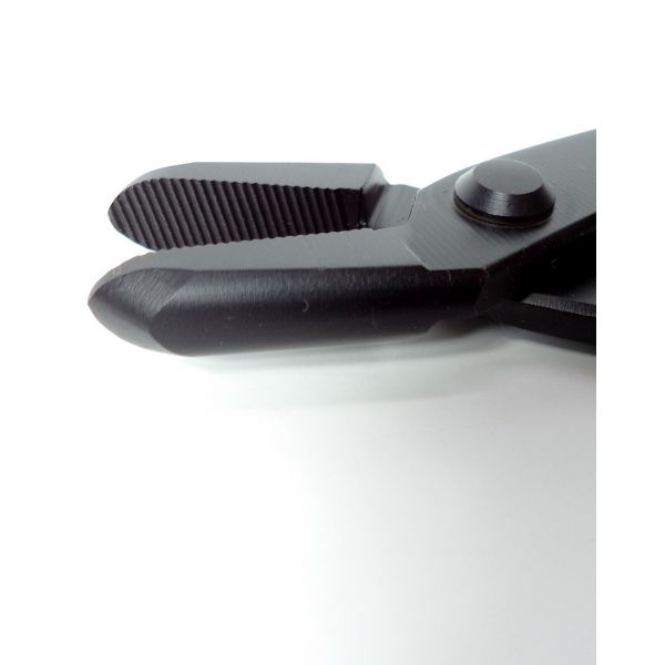image_thumbnail