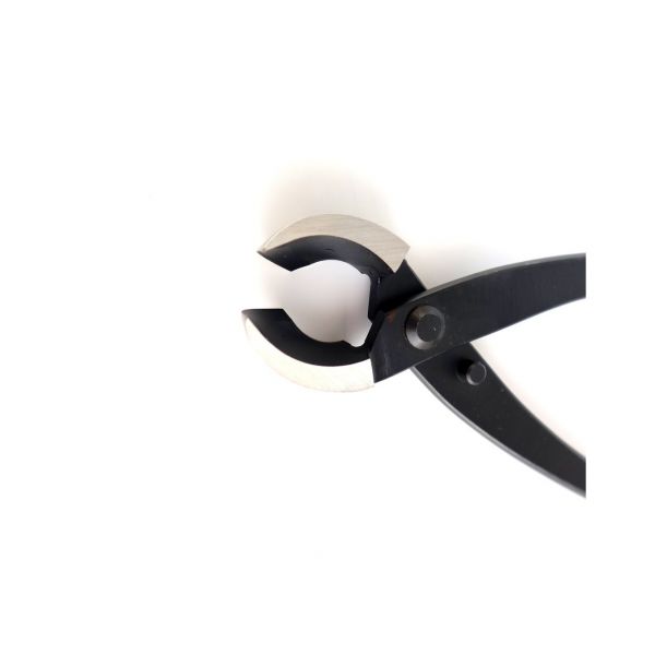 image_thumbnail