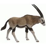 Papo Oryx Antelope - 50139