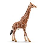 Schleich Wild Life Girafa Macho - 14749