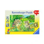 Ravensburger Puzzle Koala e Panda 2 x 24 Peças - 07820