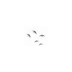 Flensted móbile 5 Flying Swallows