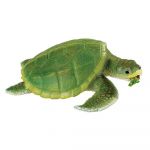 Safari Ltd Kemps Ridley Sea Turtle 3+ Green - S262429
