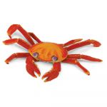 Safari Ltd Galapagos Sally Lightfoot Crab 3+ Red / Orange - S261729