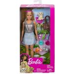 Barbie Vamos ao Piquenique - FPR48