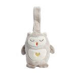 Tommee Tippee Mini GroFriends - Ollie A Coruja - TT423105