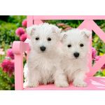 Castorland Puzzle Filhotes de Terrier Branco 120 Peças
