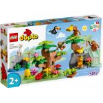 LEGO Duplo Town Animais Selvagens da América do Sul - 10973