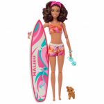 Barbie Surfista e Acessórios