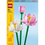LEGO Iconic Flor-de-Lótus - 40647