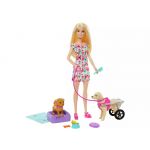 Barbie Dog Walker With Wheelchair Rosa