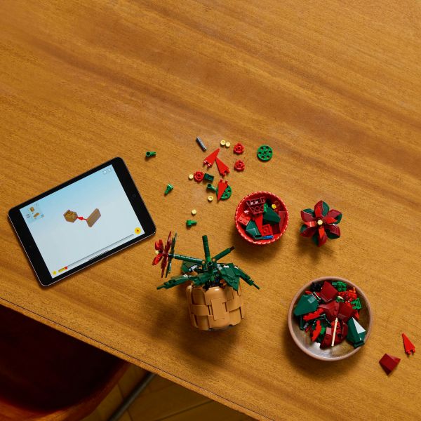 https://s1.kuantokusta.pt/img_upload/produtos_brinquedospuericultura/408792_63_icons-poinsetia-10370.jpg