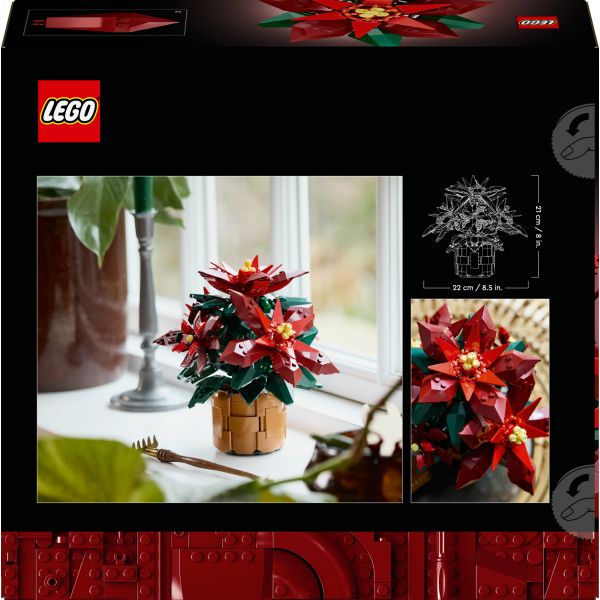 https://s1.kuantokusta.pt/img_upload/produtos_brinquedospuericultura/408792_83_icons-poinsetia-10370.jpg